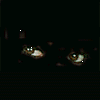 Eyes